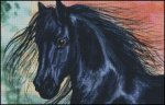 (image for) Black Magic 1